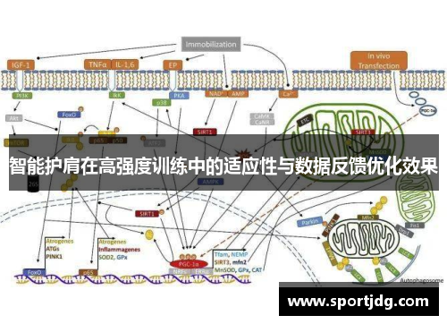智能护肩在高强度训练中的适应性与数据反馈优化效果